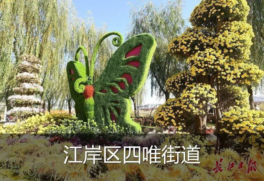 江岸区四唯街道
