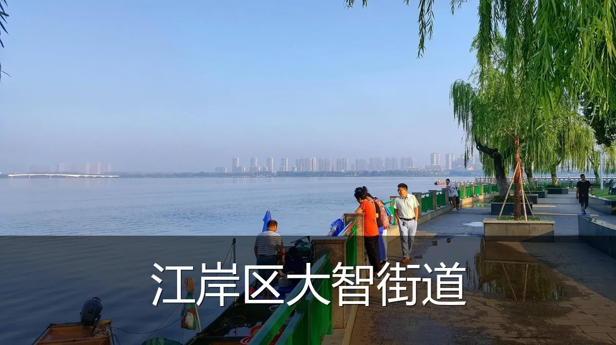江岸区大智街道